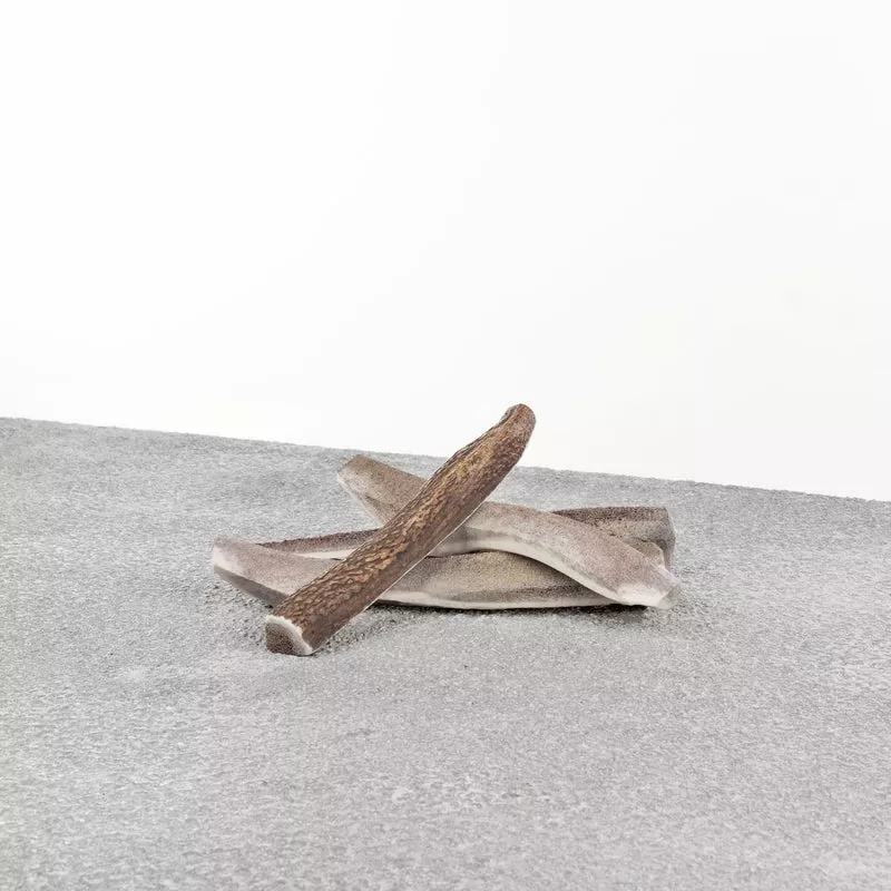 Primal Split Stag Antler