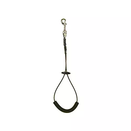 Pro Guard Dog Grooming Restraint Loop with Snap, 21” Tether
