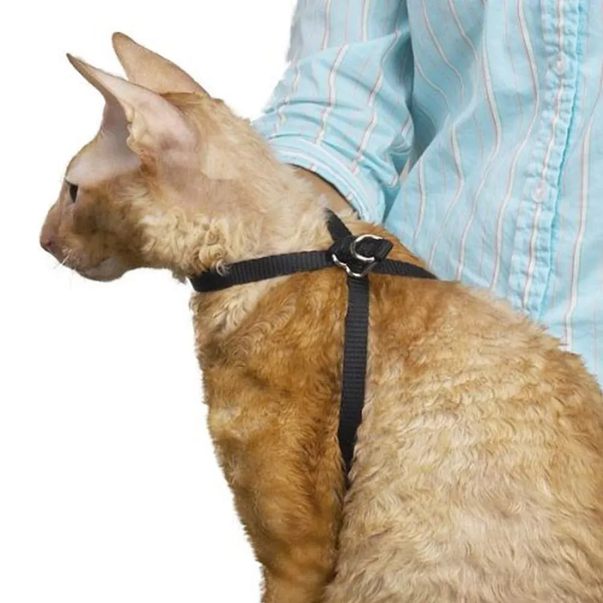 Top Performance Nylon Adjustable Cat Grooming Harness, 1/2-Inch, Black