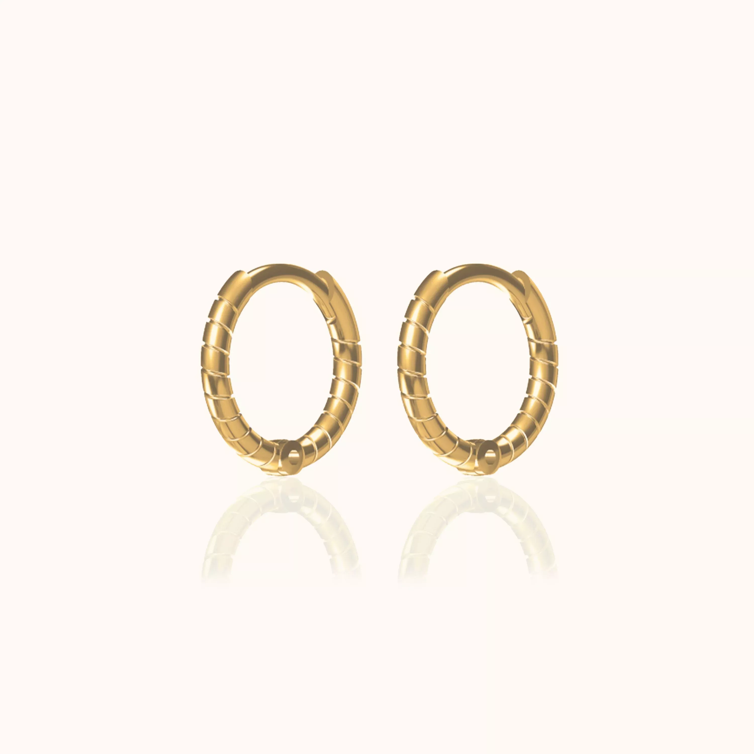 Twisted Hoop Earrings